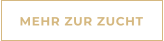 MEHR ZUR ZUCHT